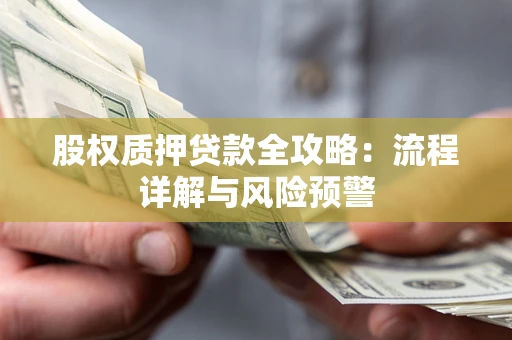 北京股权质押贷款全攻略：流程详解与风险预警