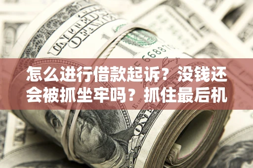 北京怎么进行借款起诉？没钱还会被抓坐牢吗？抓住最后机会！