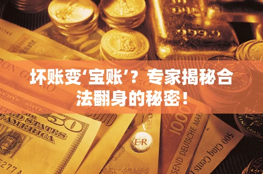 北京坏账变‘宝账’？专家揭秘合法翻身的秘密！