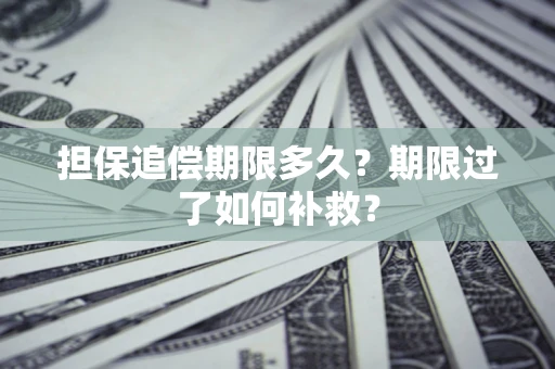 北京担保追偿期限多久？期限过了如何补救？