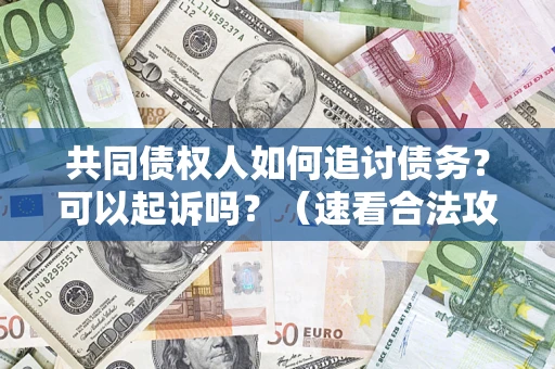 北京共同债权人如何追讨债务？可以起诉吗？（速看合法攻略）